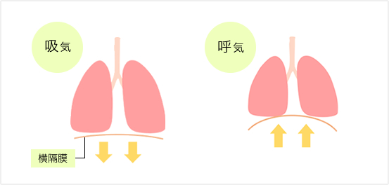 肺機能検査イメージ図