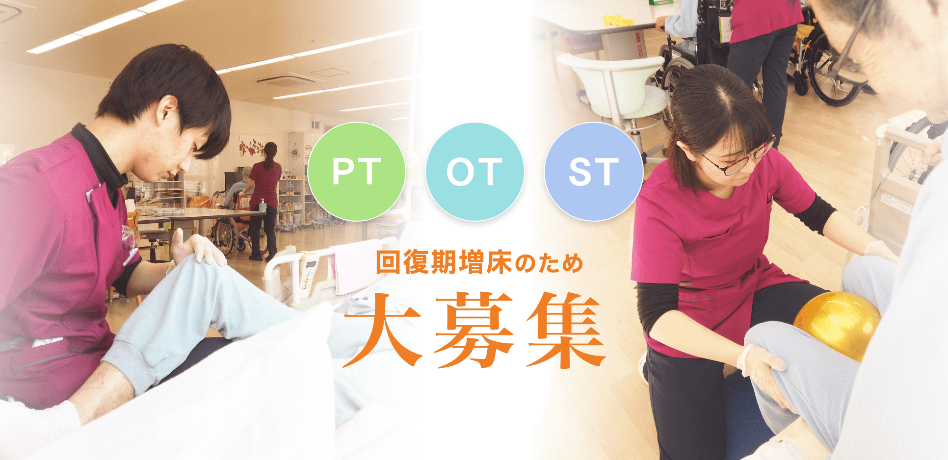PT/OT/ST募集